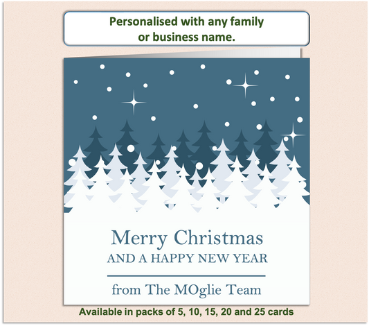 Personalised Christmas Xmas card with any family name, club, work or business - GEN8